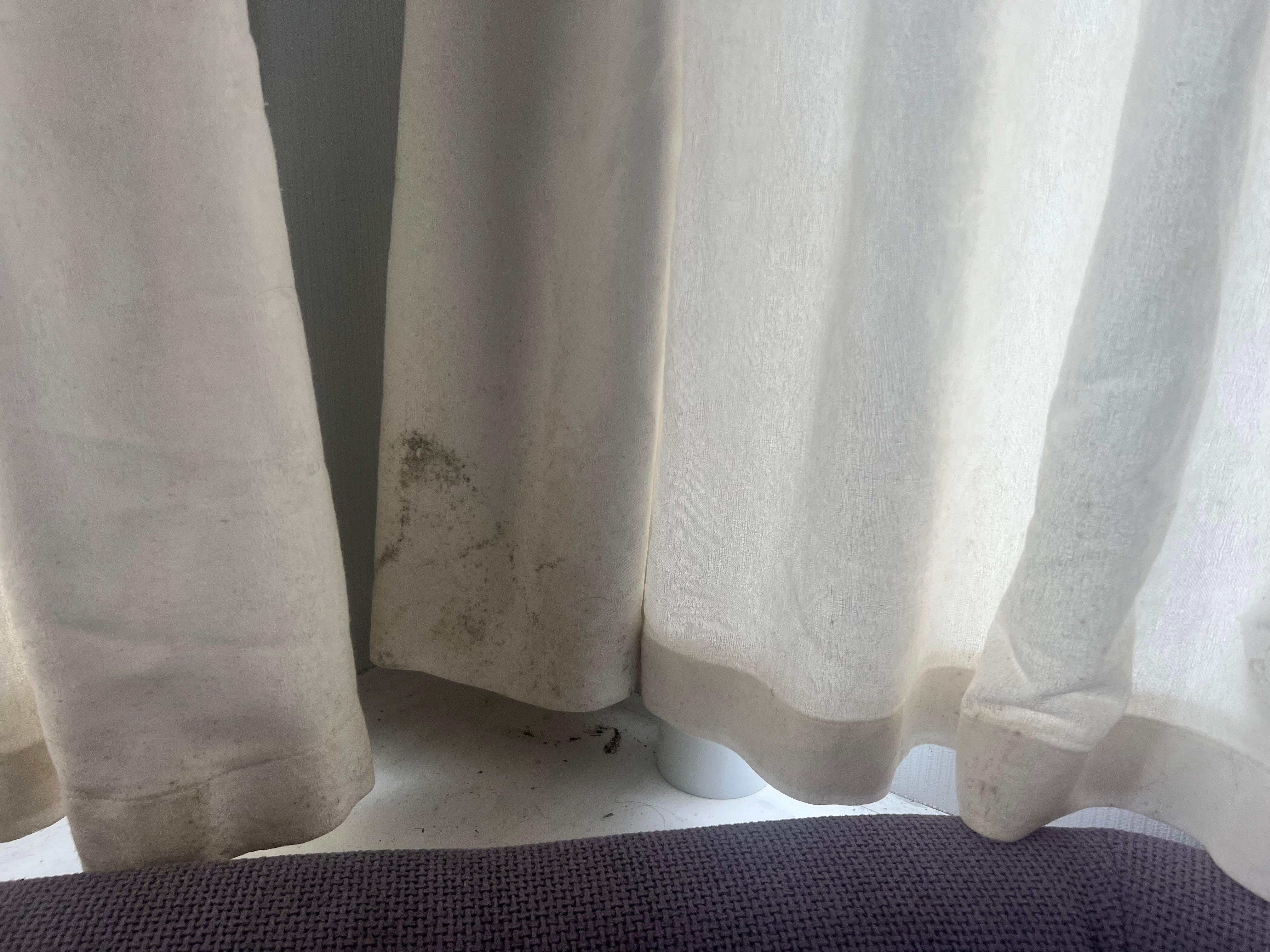 Mould on curtains