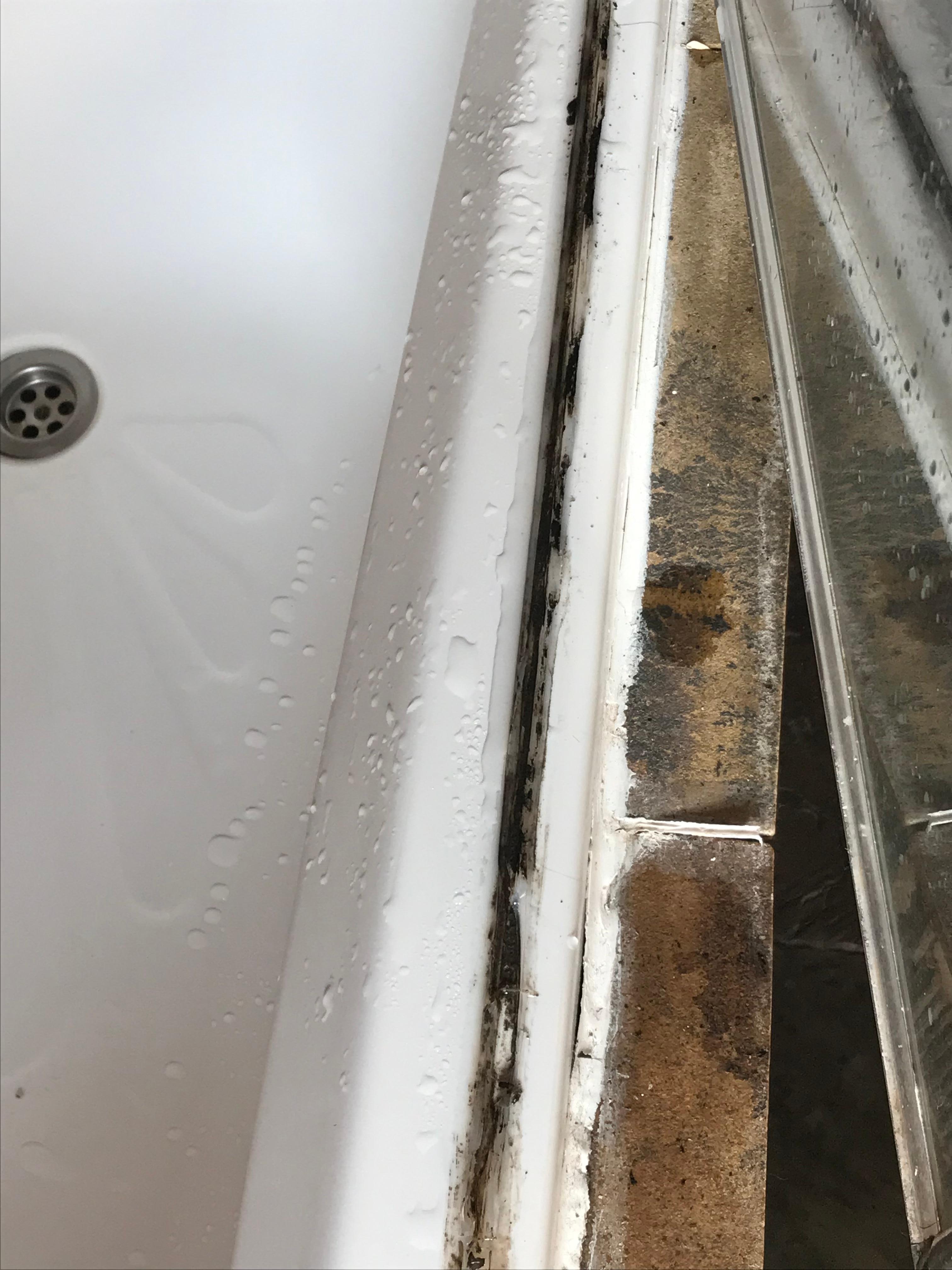 Shower glass not secured and no longer covering the black mold