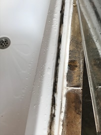 Shower glass not secured and no longer covering the black mold