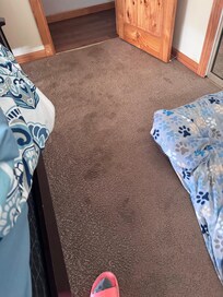 Dirty carpet