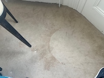 Stained carpet