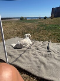 Relaxing