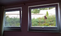 Vue ''jardin'' depuis la chambre