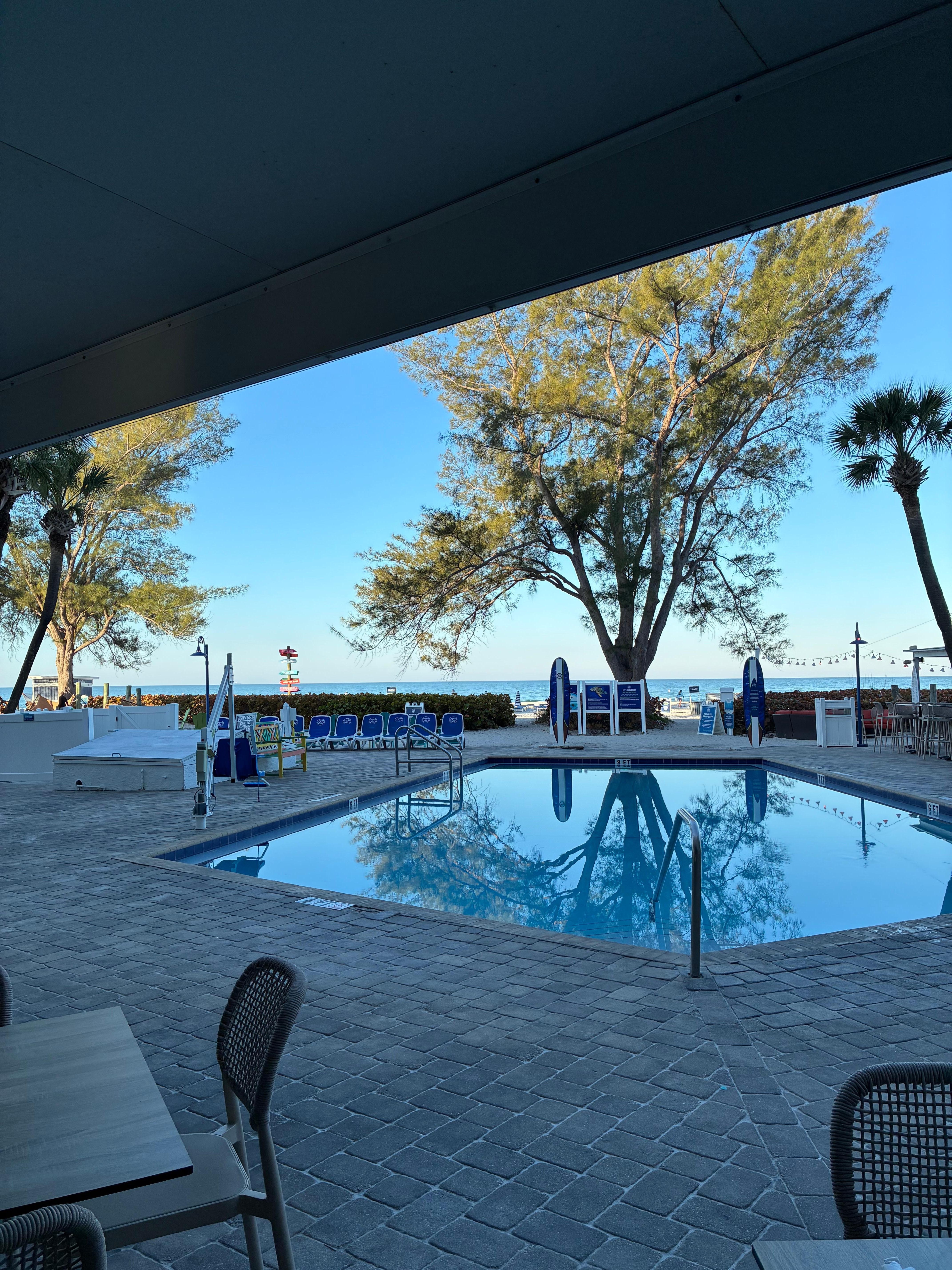 View from breakfast. 