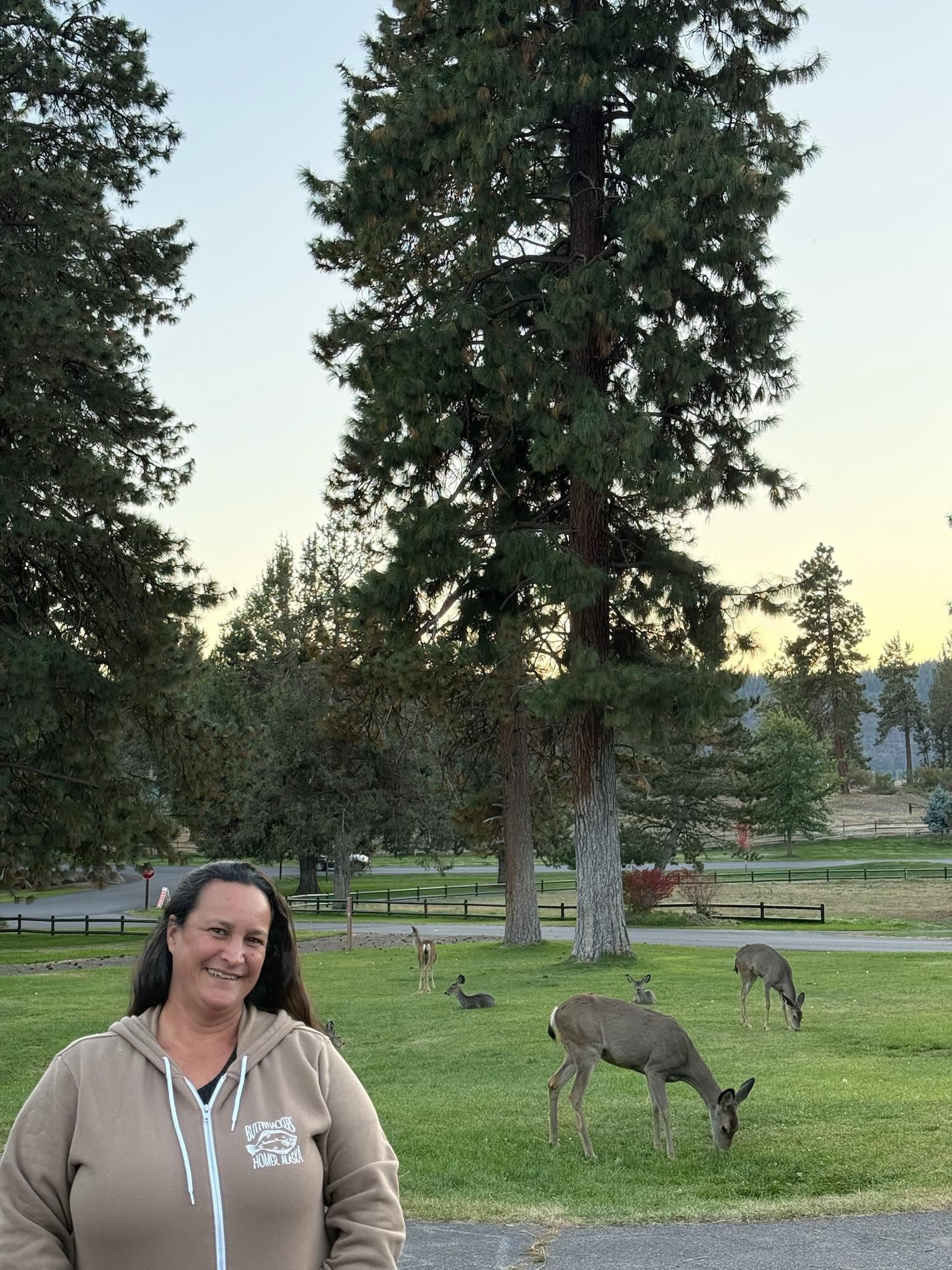 Deers just hanging out on my walk