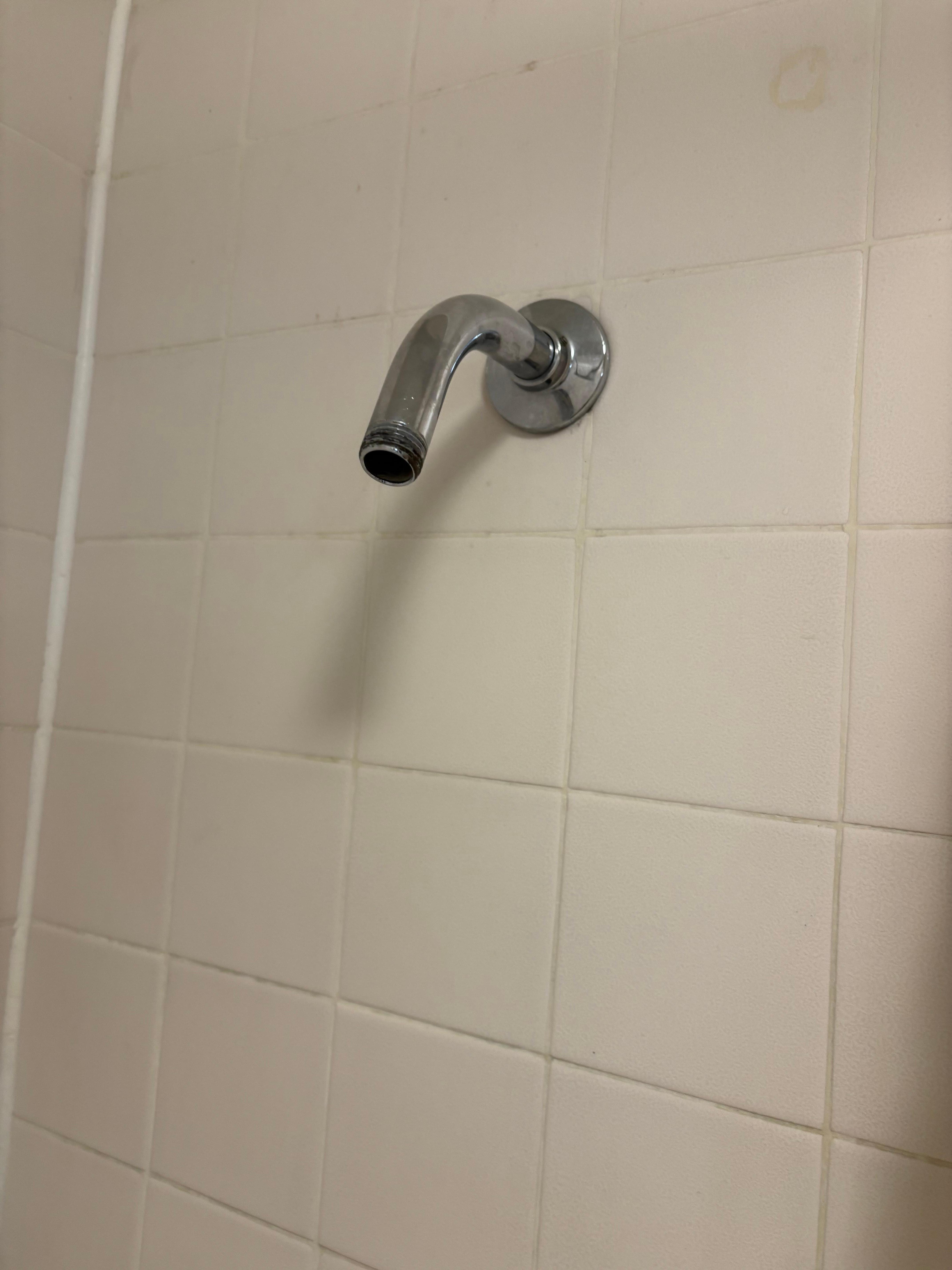 No shower head to take shower