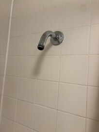No shower head to take shower