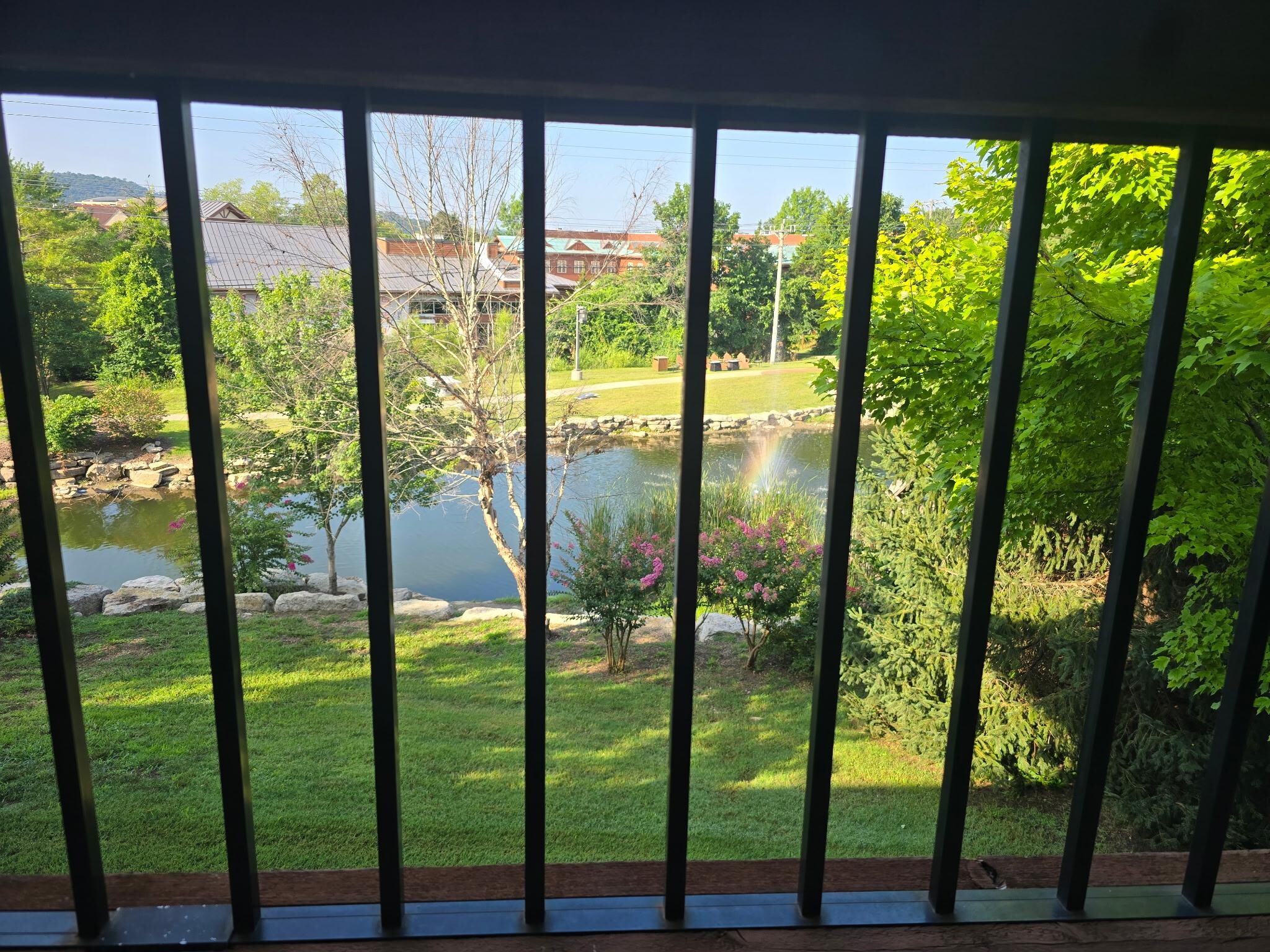 Patio view from the room.