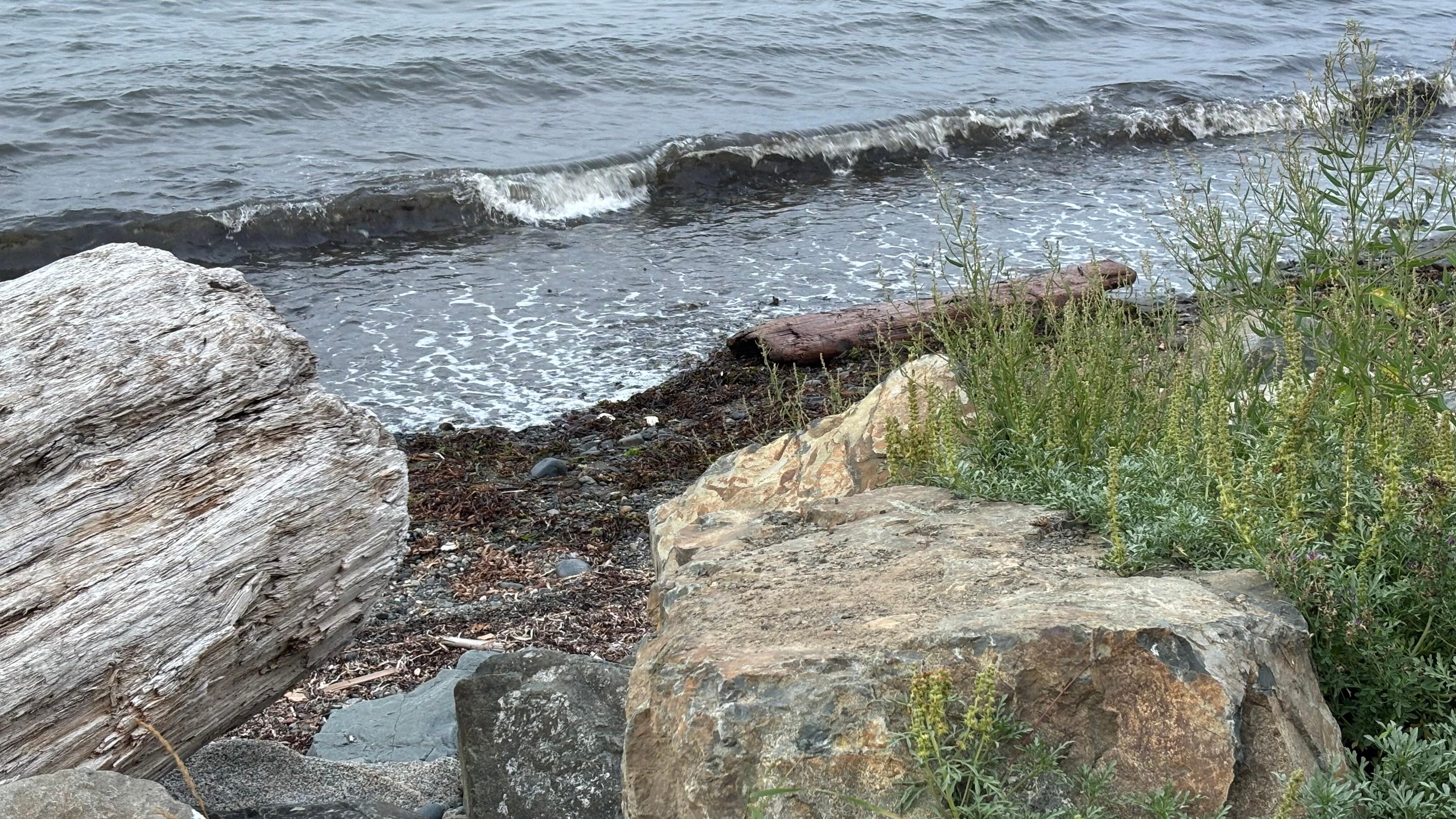 Views from a beach just 3 minutes walk down the street from theNest”