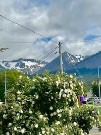 Vista