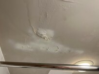 Bathroom ceiling