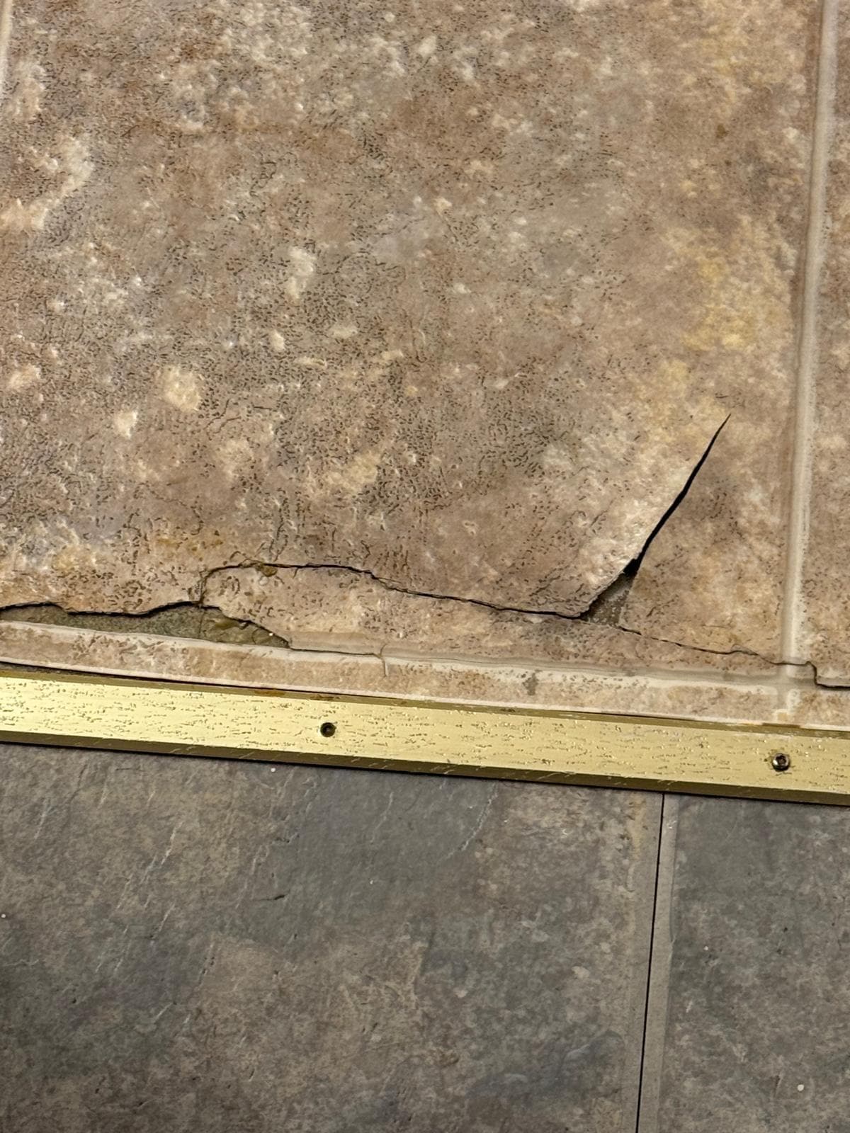 ripped bathroom floor