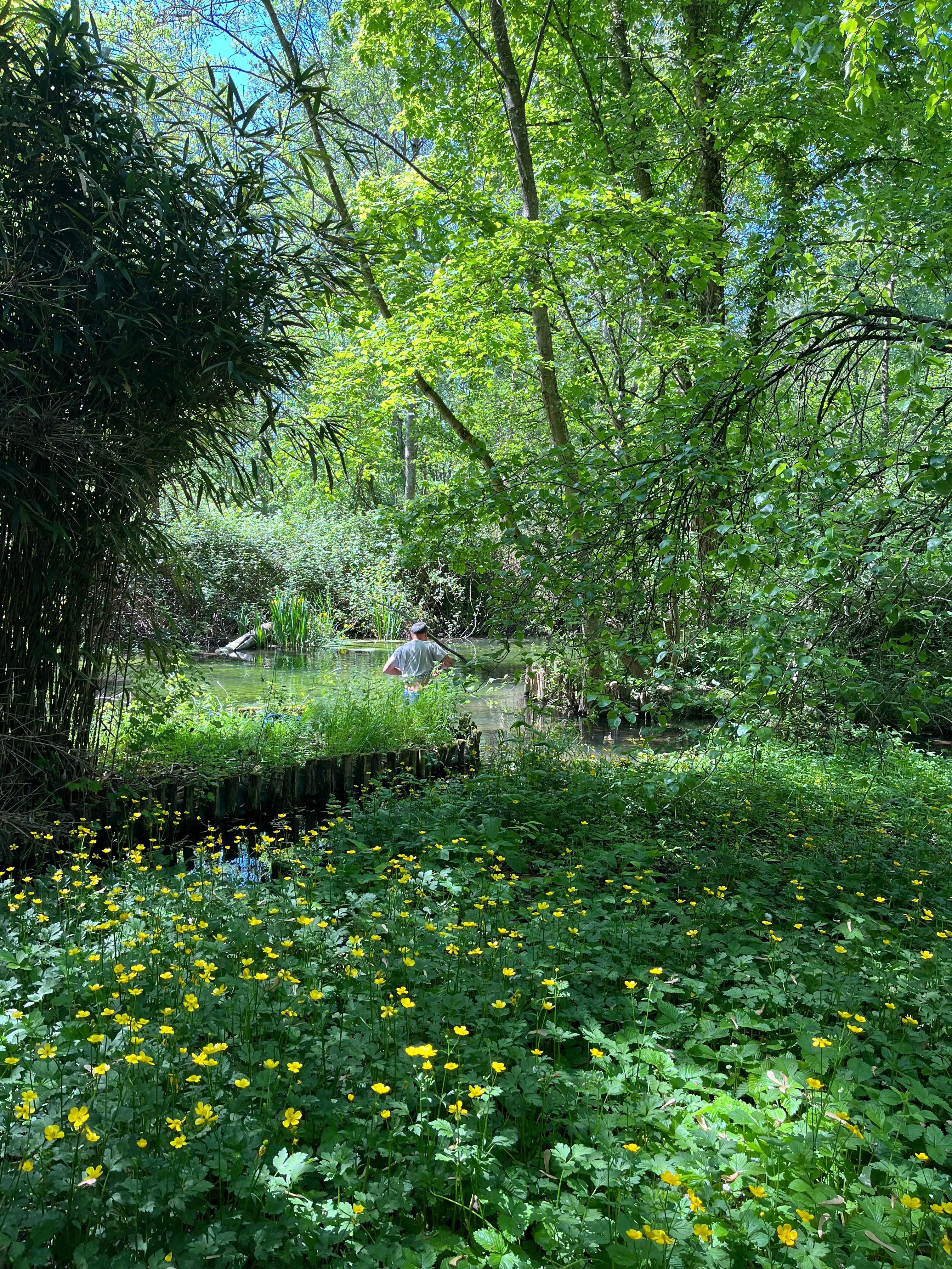 Jardin
