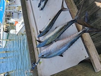 King Fish. Tastes great