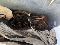 dirty pool and snorkeling gear