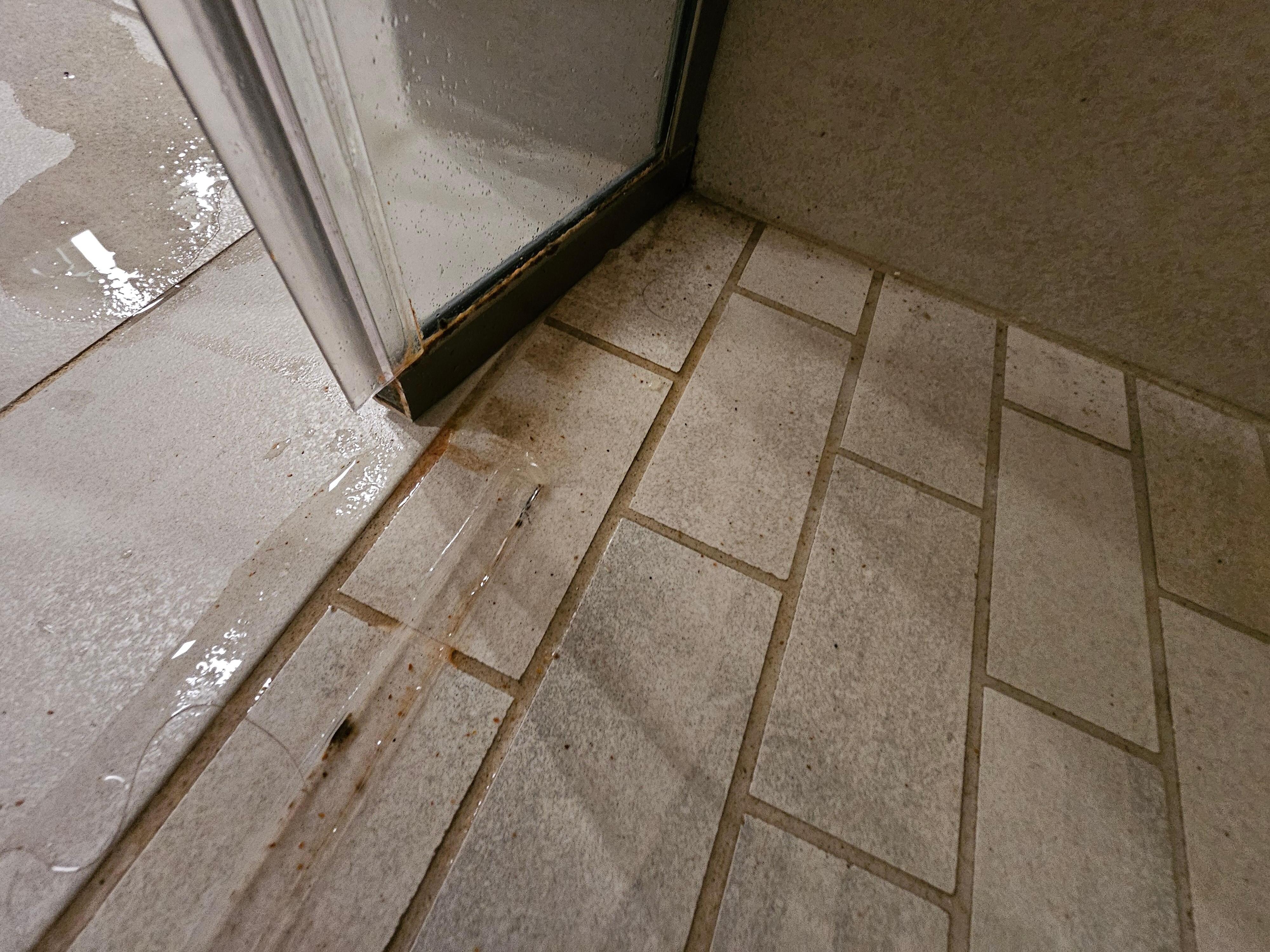 Broken / dirty shower door