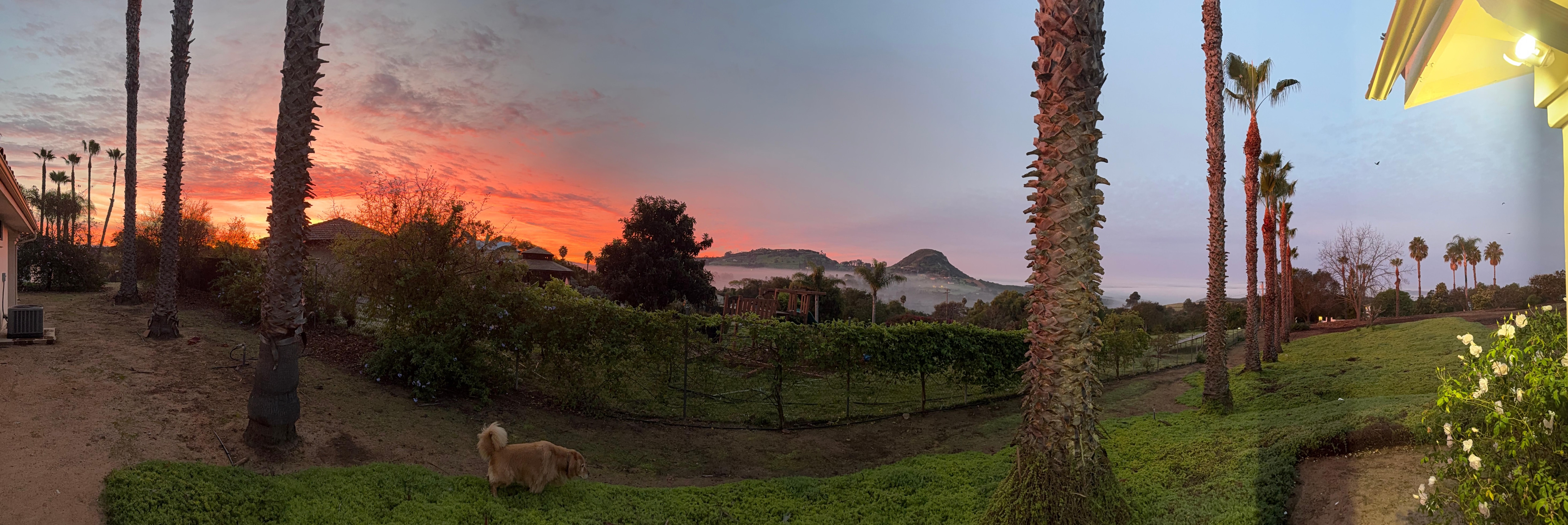 Sunrise East marine layer West - beautiful!