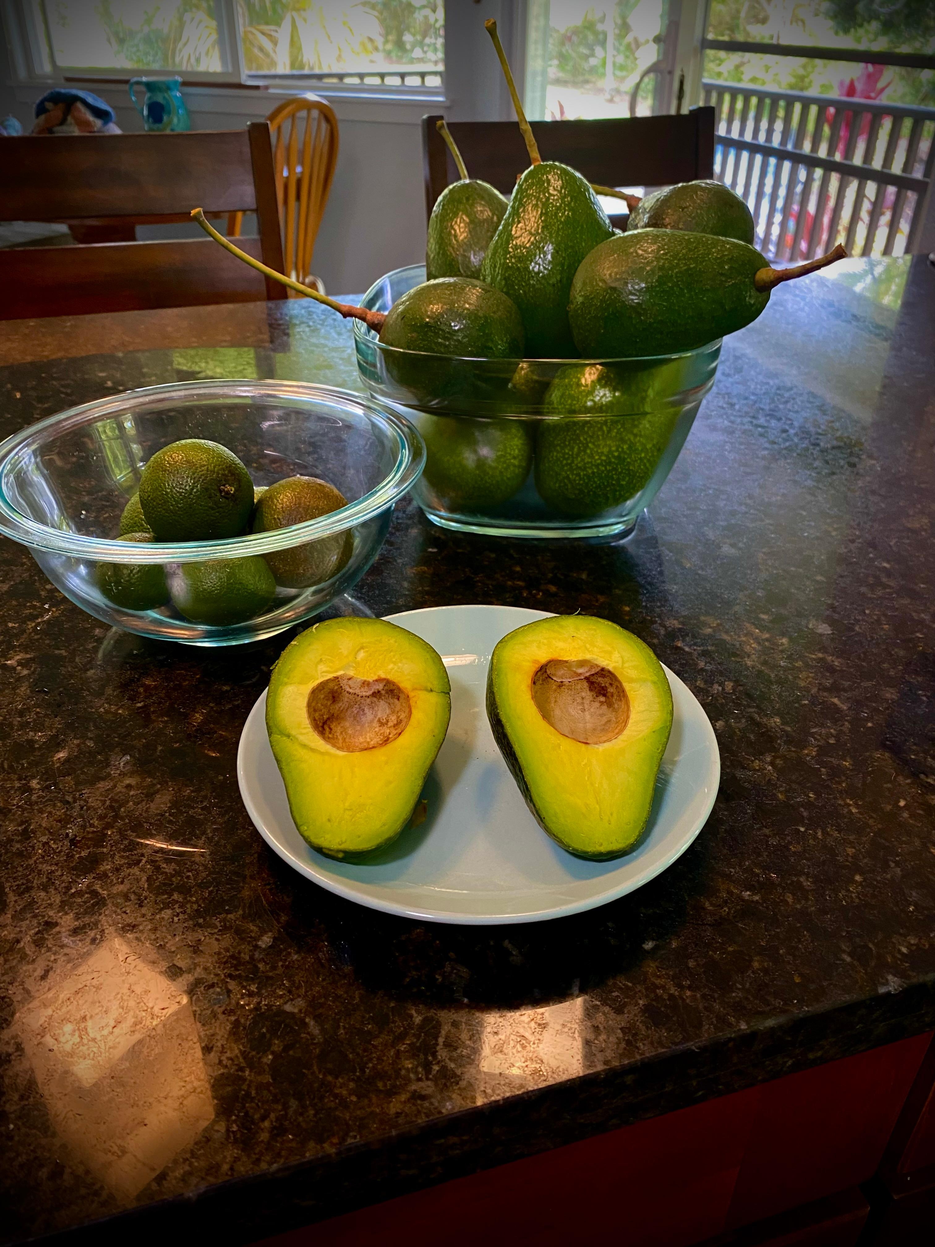 Avacados and lemons from yard 