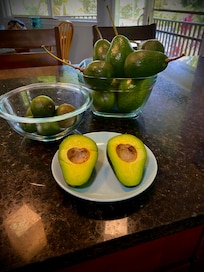 Avacados and lemons from yard