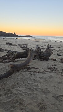 Down the beach access