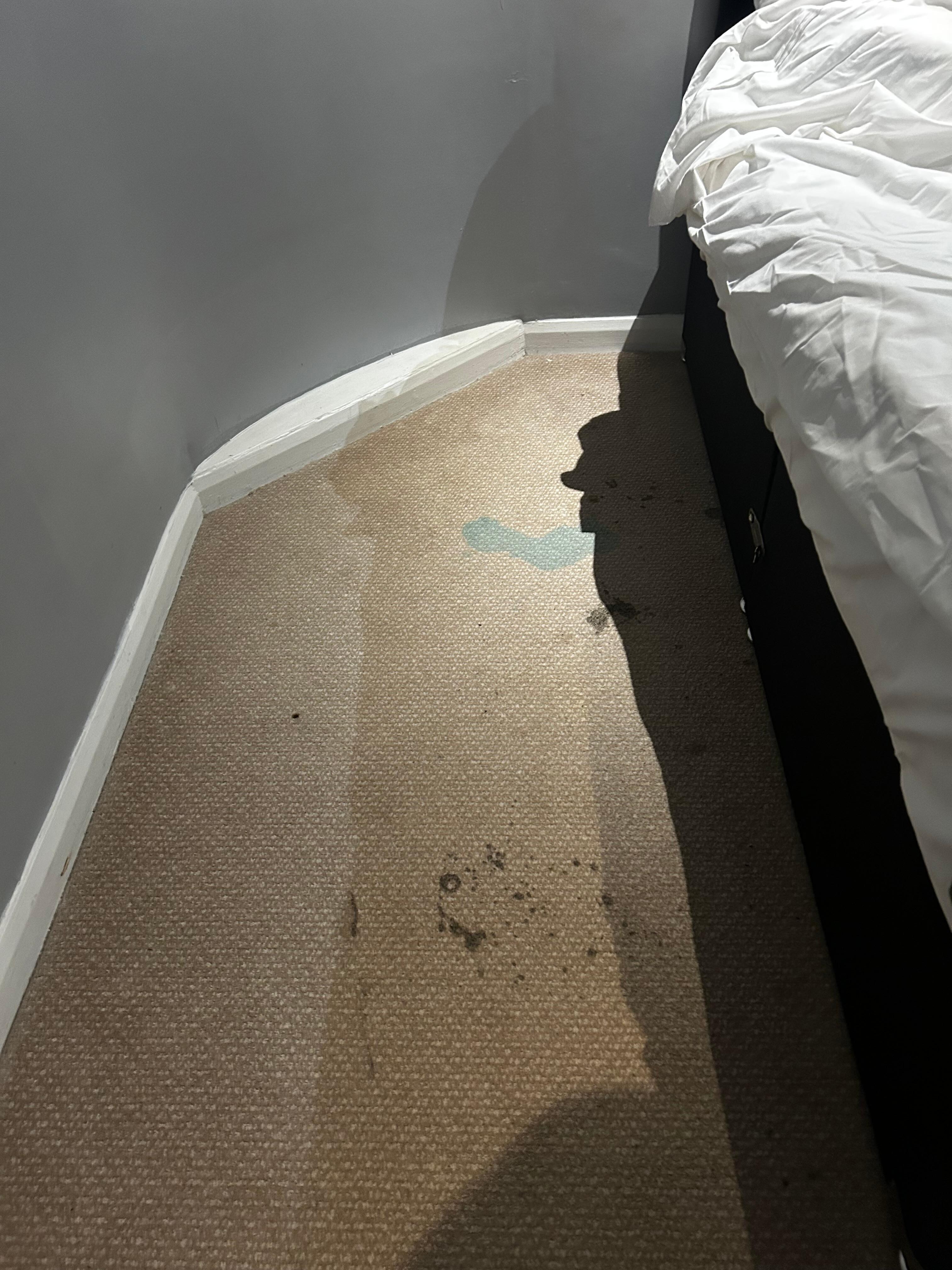 Carpet in the bedroom 