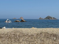Local beach