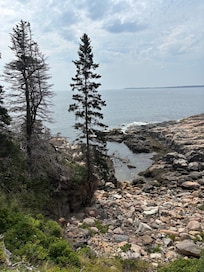 Drive through Acadia NP!