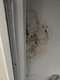 Mold