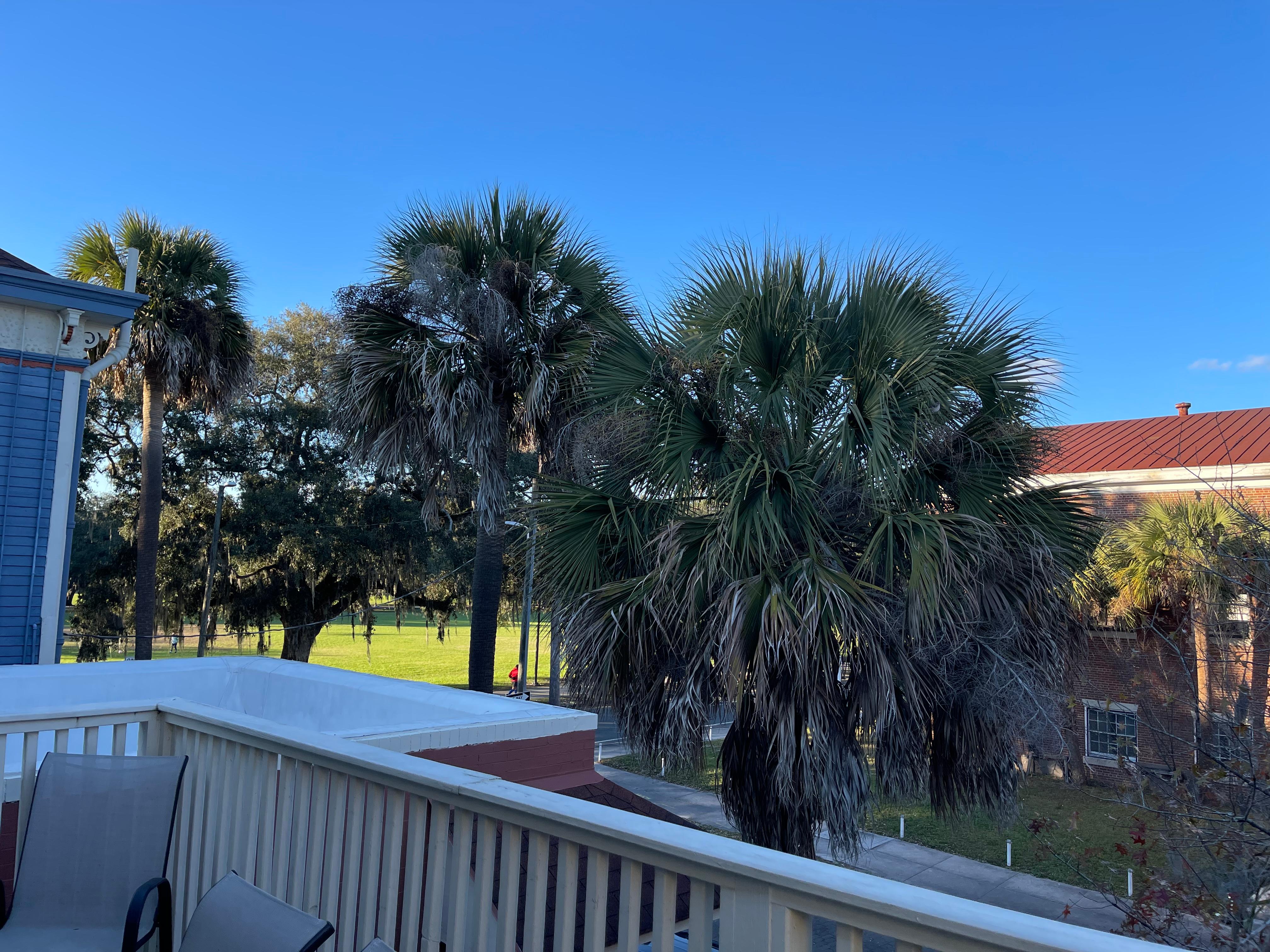 From patio off kitchen