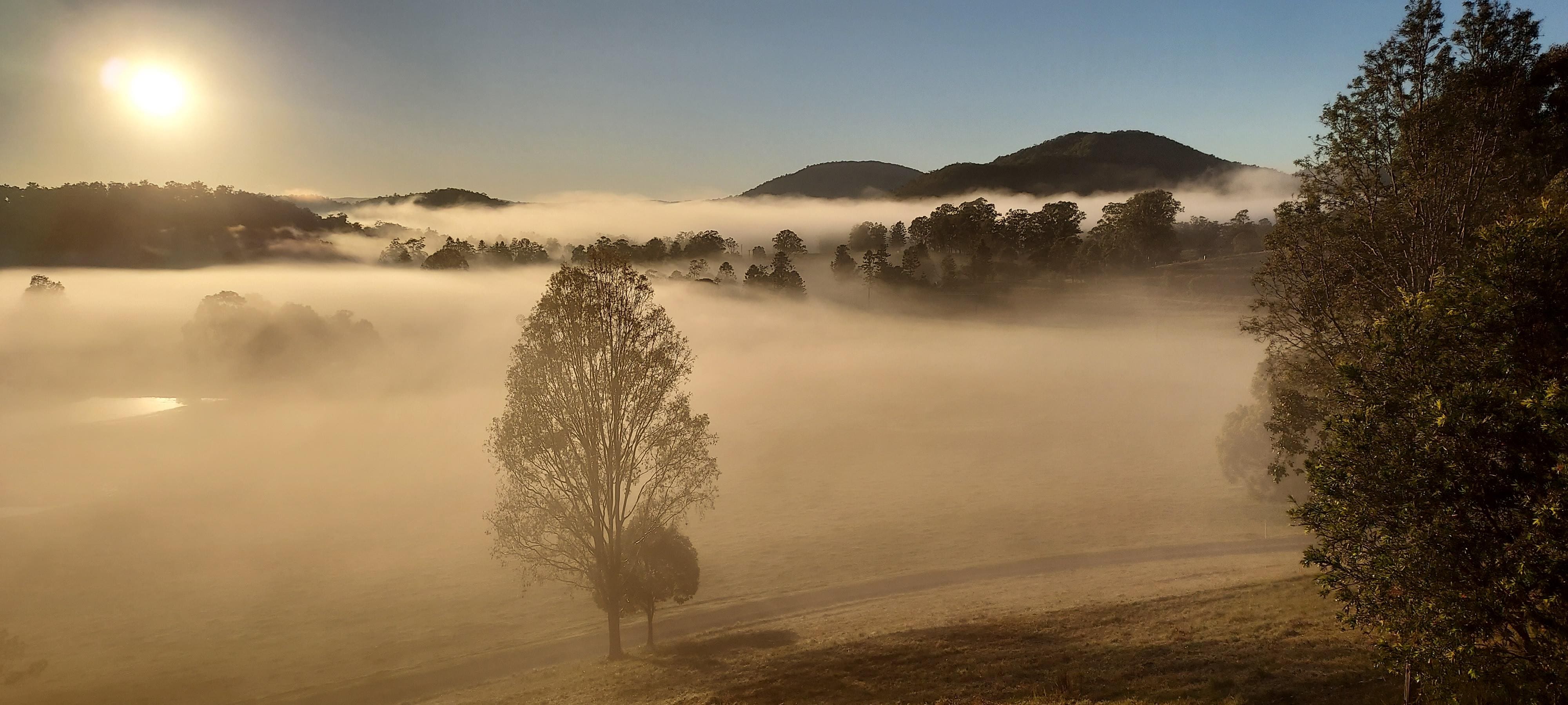 Morning mist