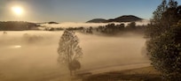 Morning mist
