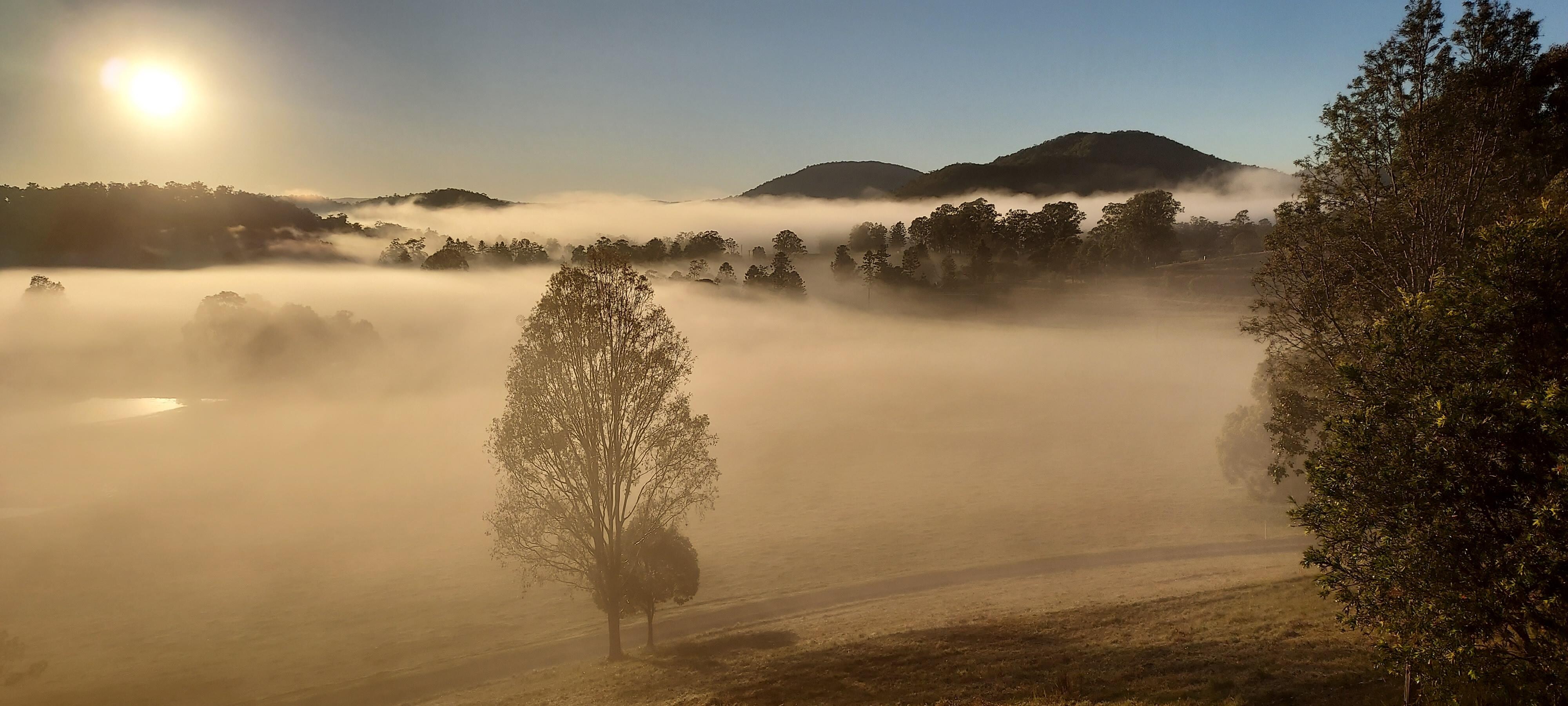Morning mist