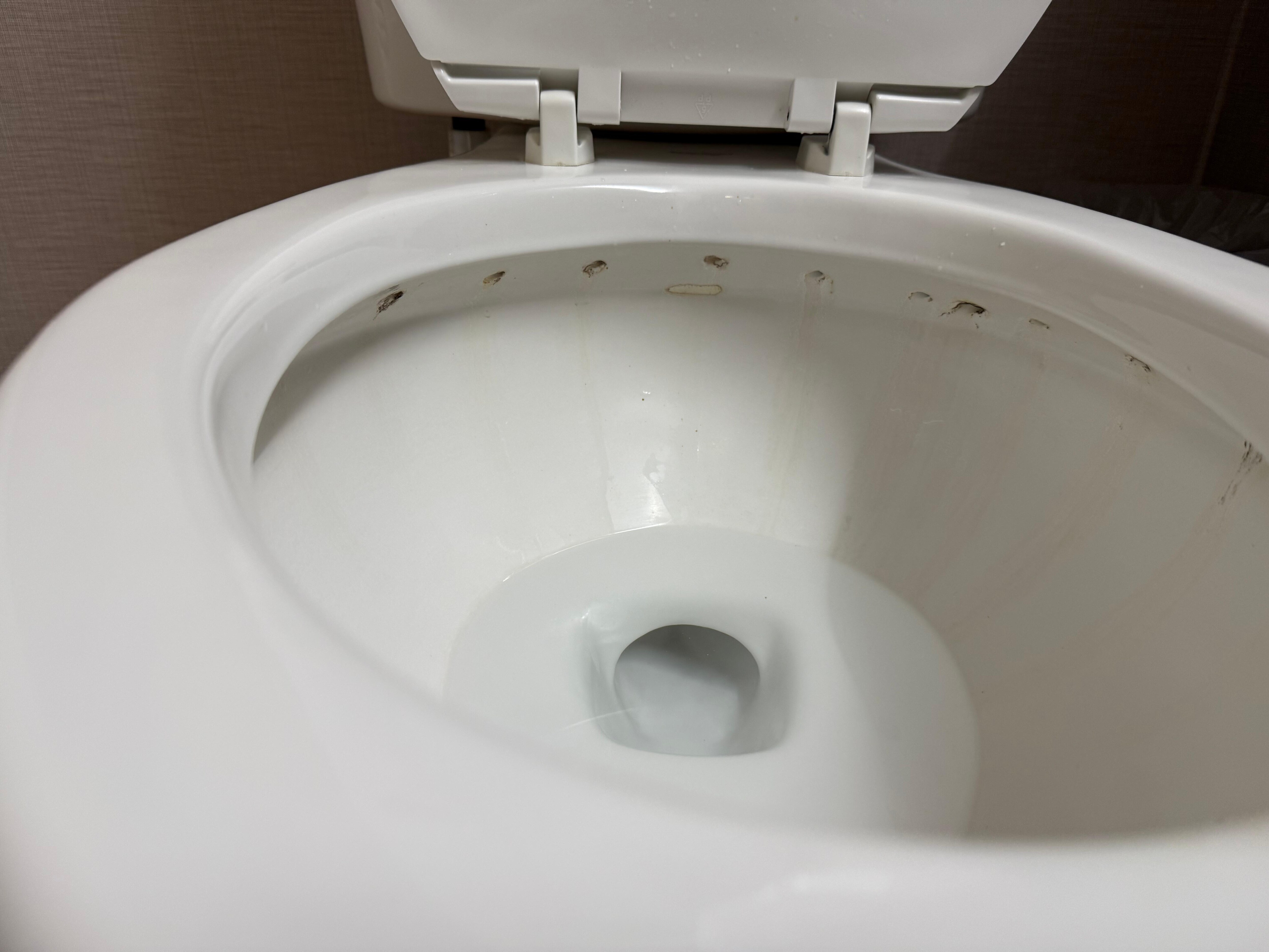 Dirty toilet bowl