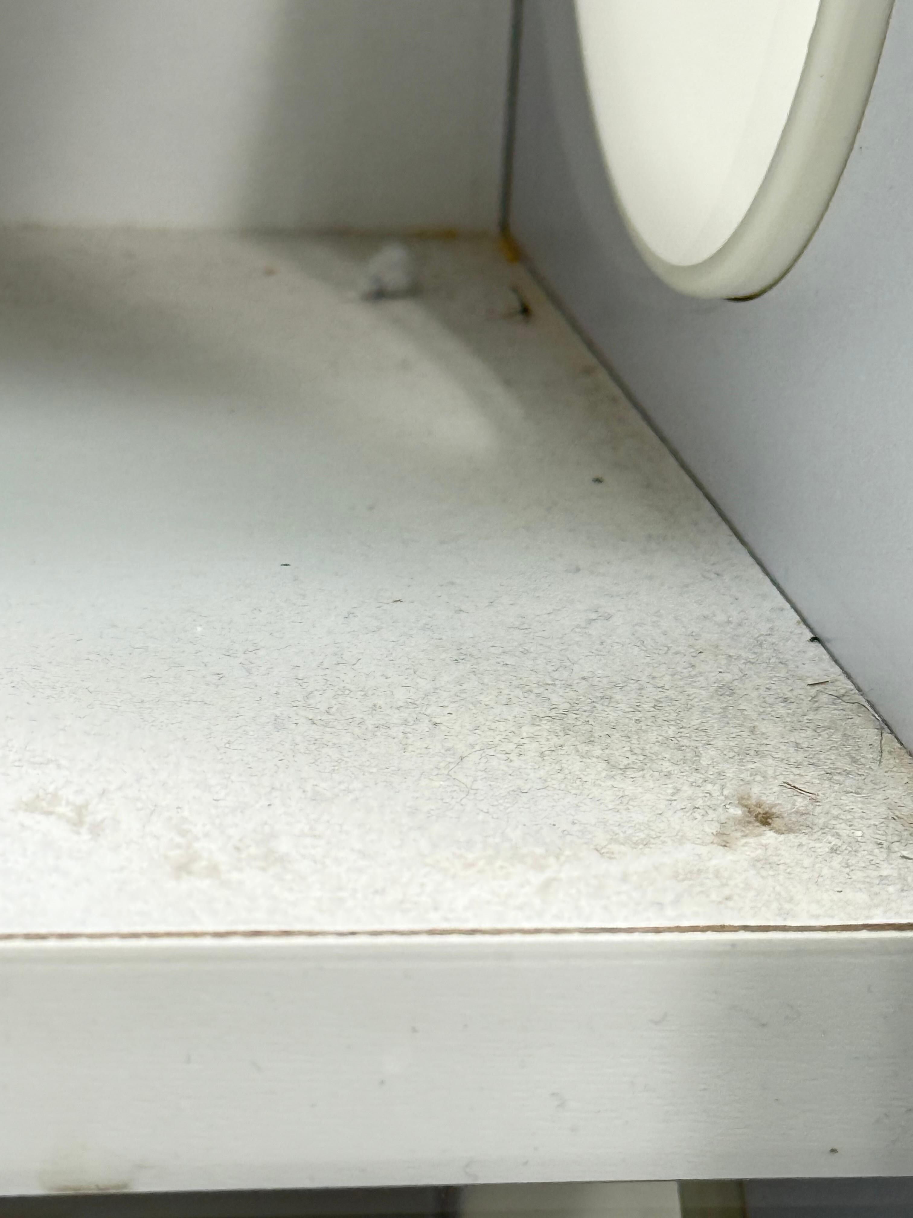 Dust and dirt which was present on the towels 