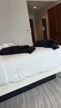 My two dogs found the bed to their liking as well. A pet friendly hotel.