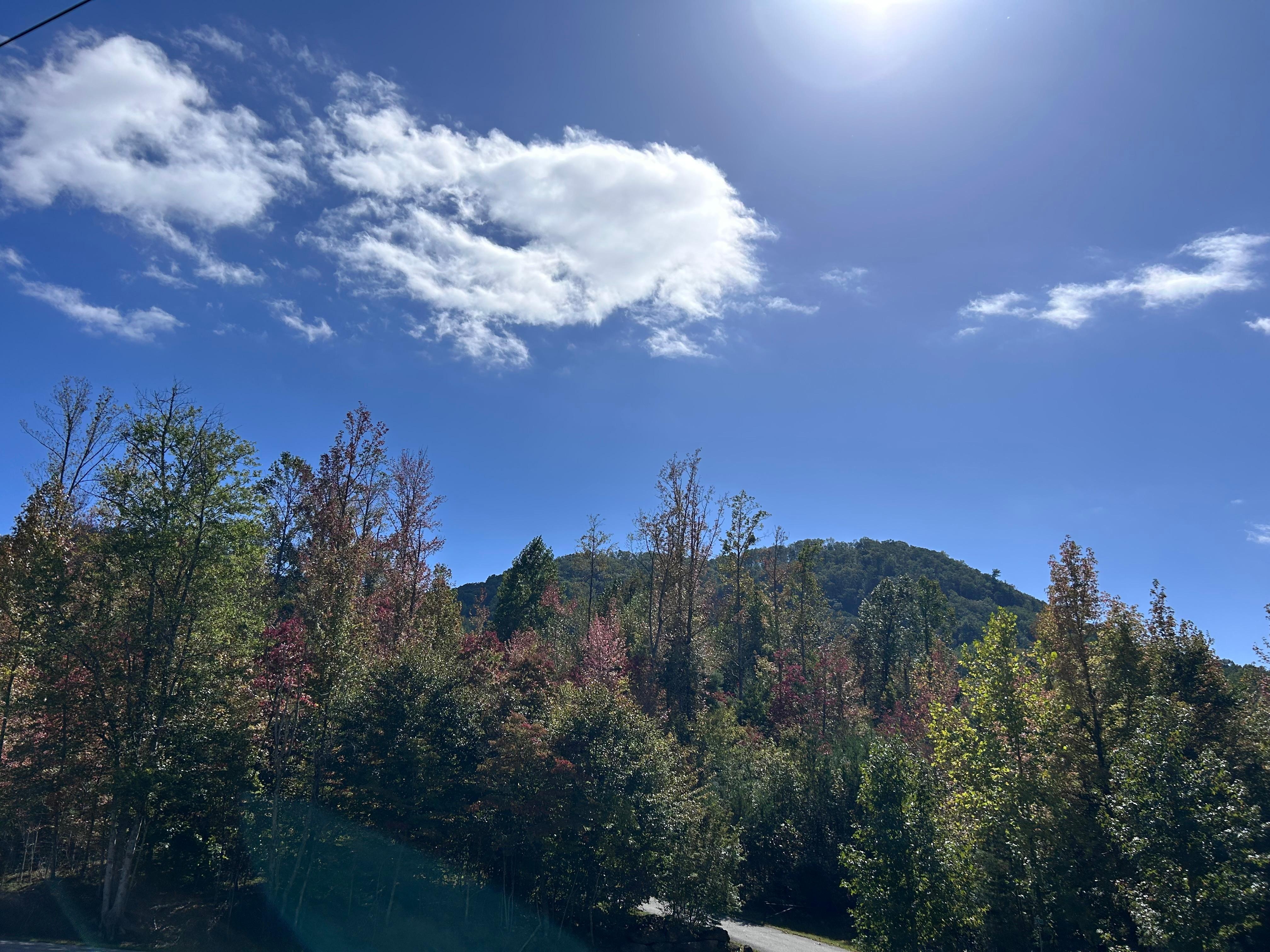 View from the front yard.