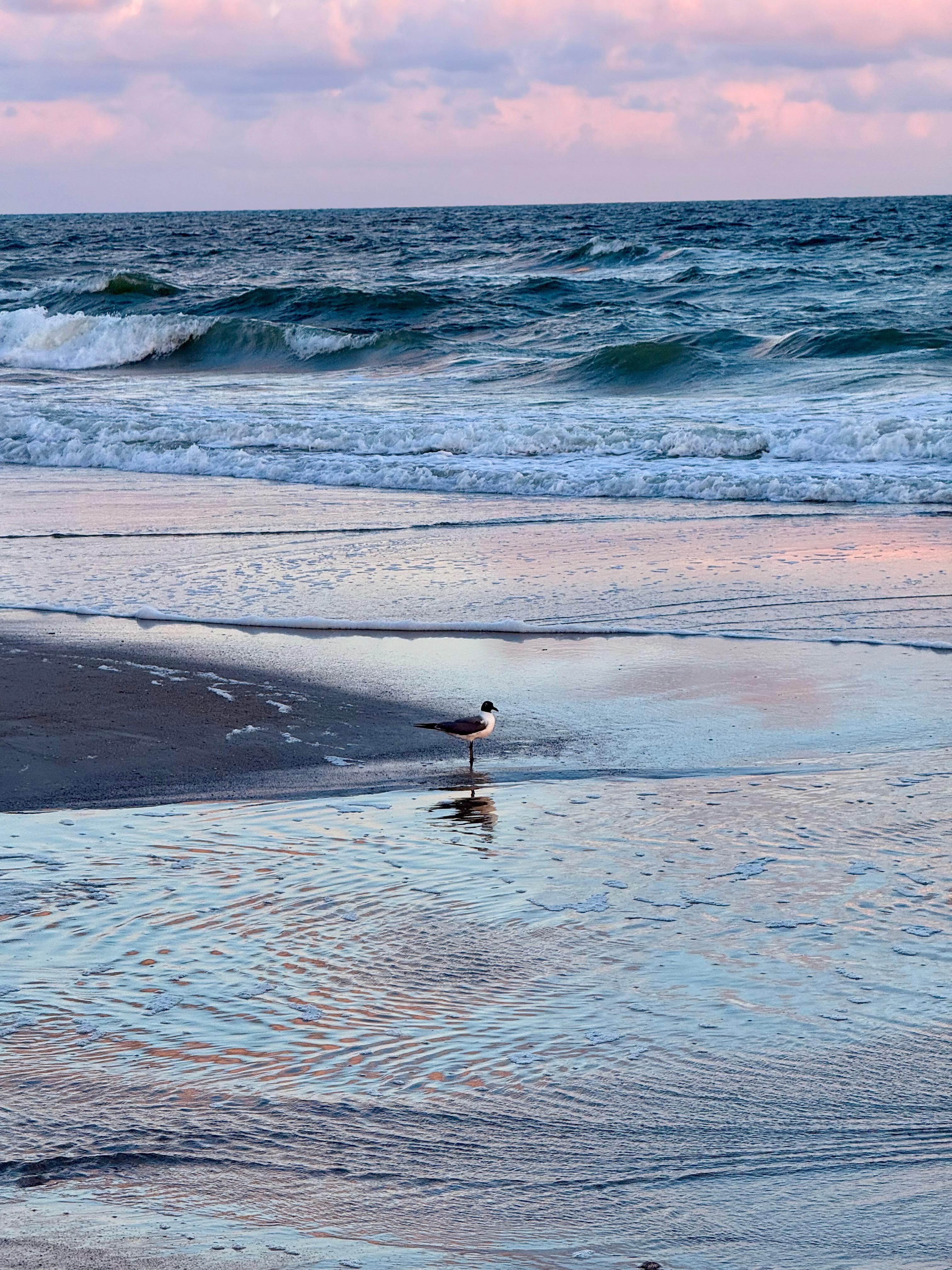 Sunset on the beach