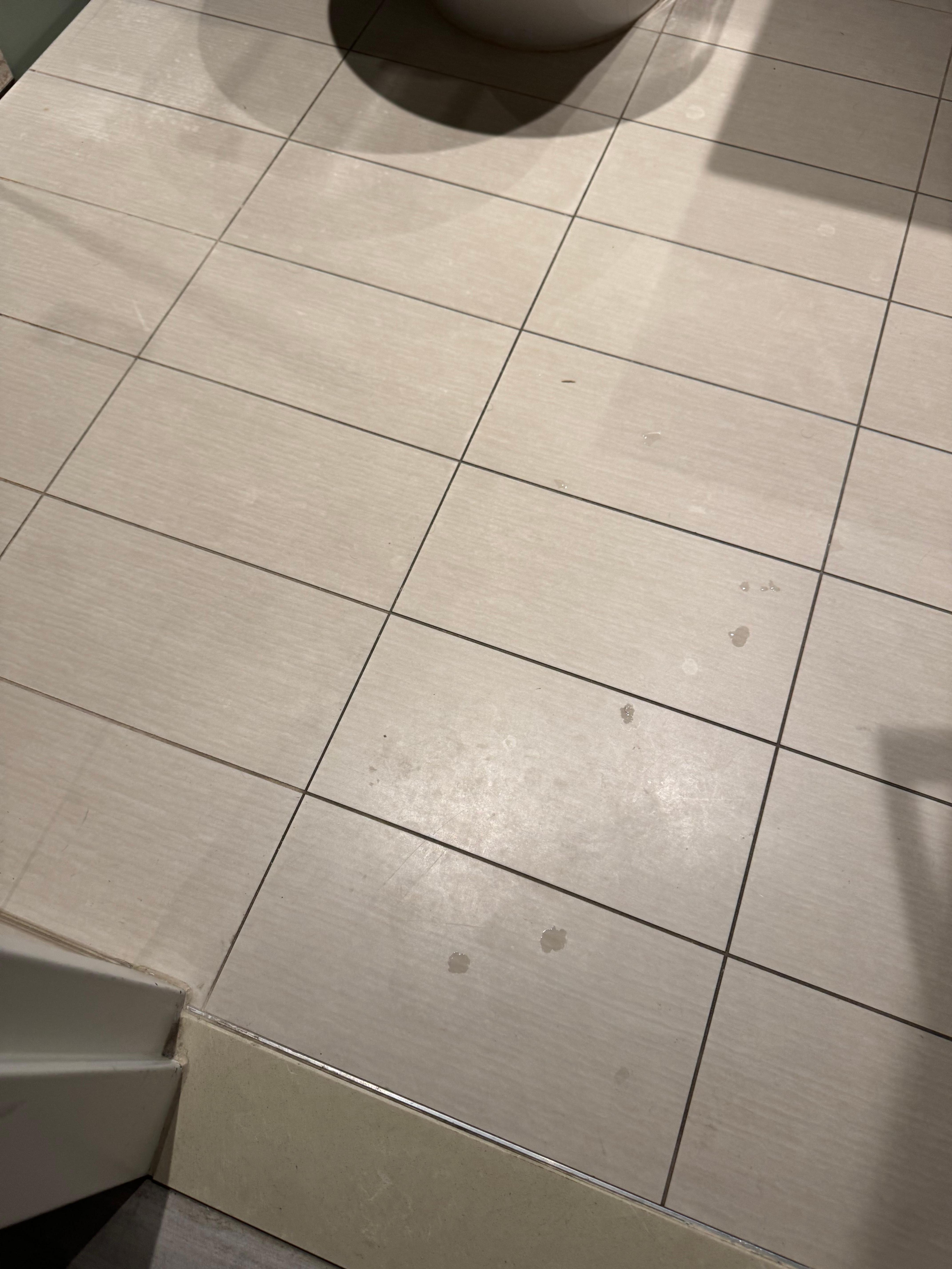 Bathroom not properly cleaned 