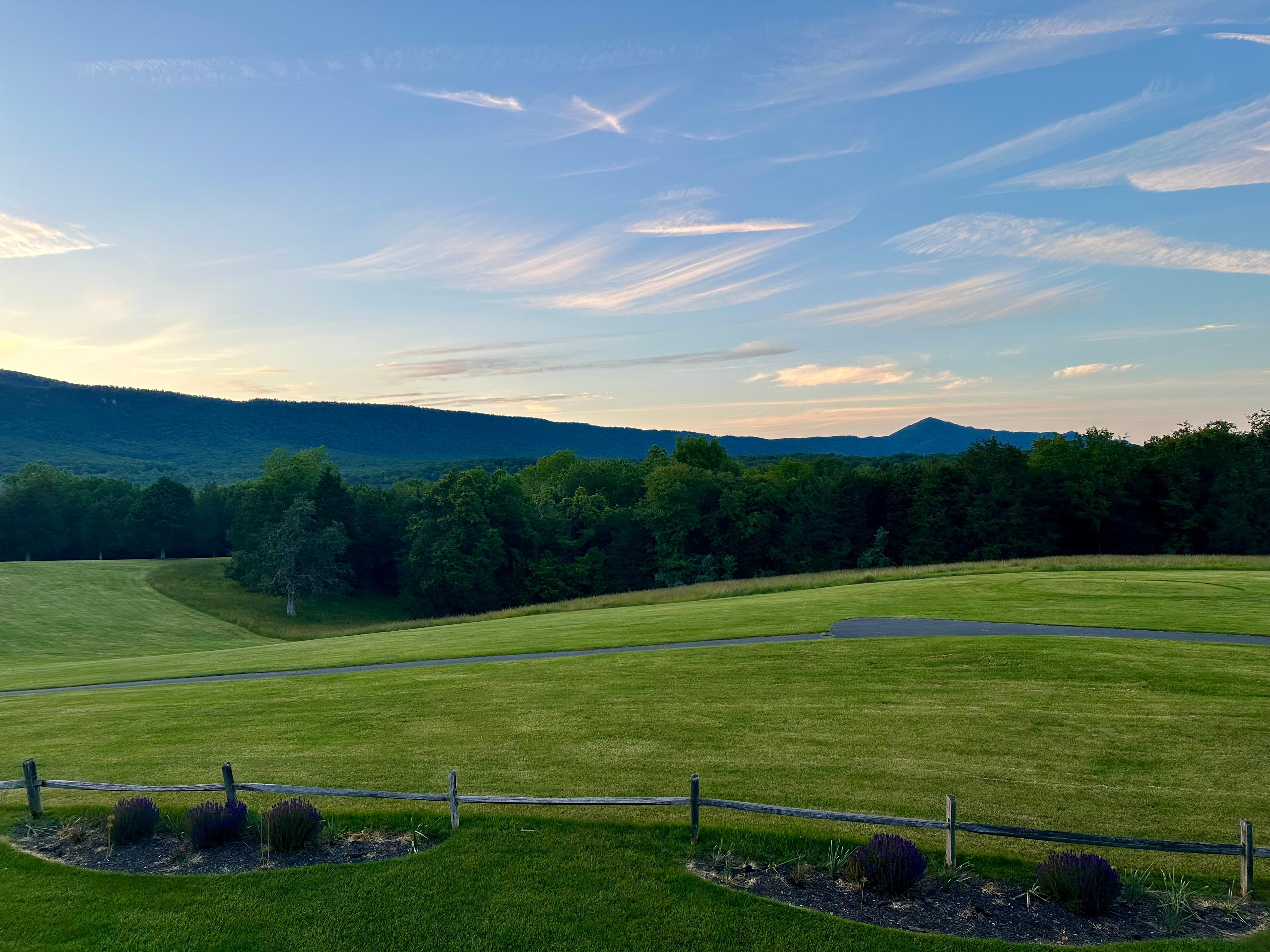 View from the back balcony