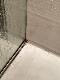 Bathroom mold