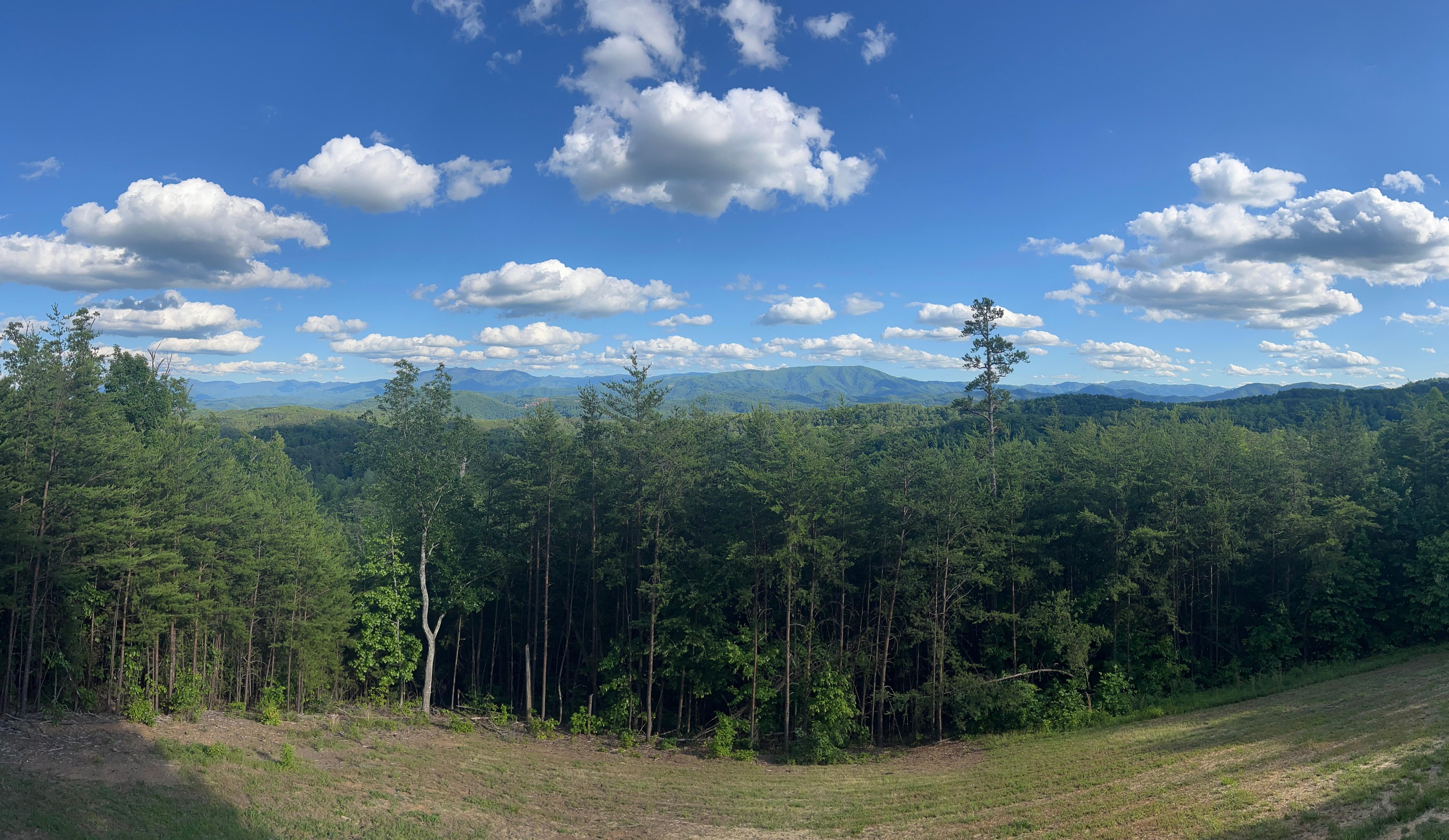 View from back deck