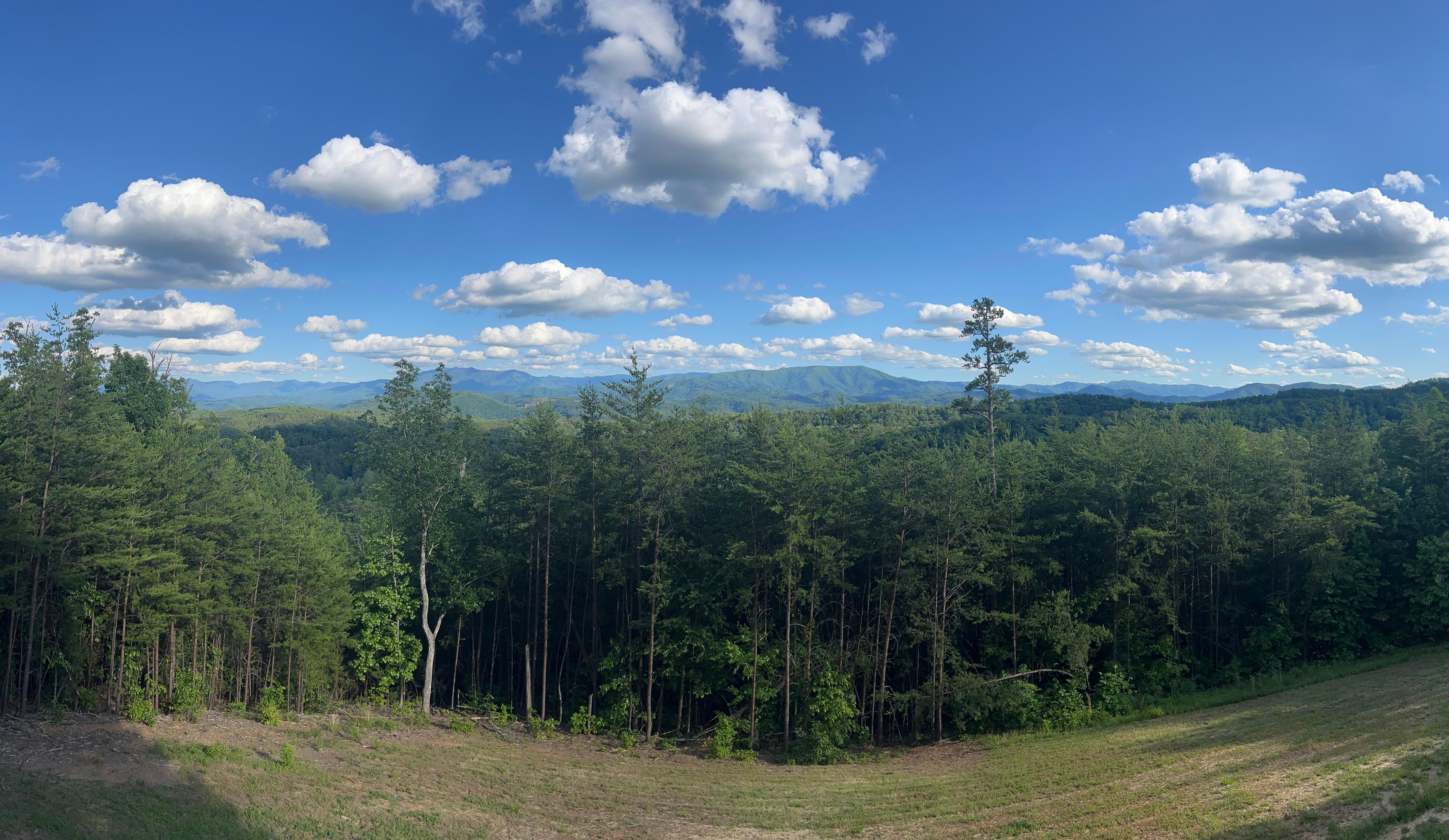 View from back deck