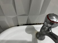 Moldy sink