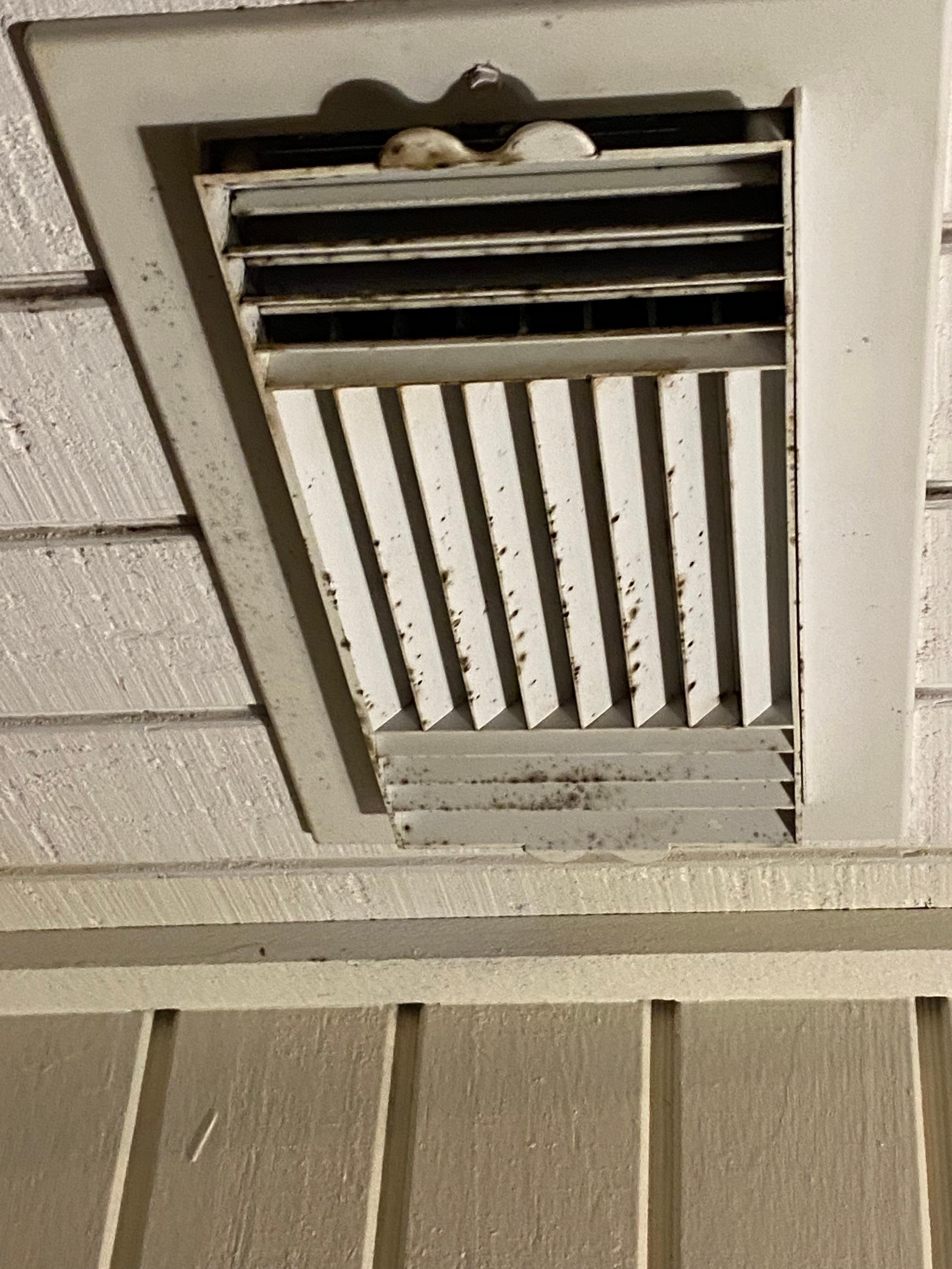 Black mold coming from ventilation