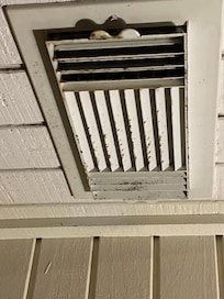 Black mold coming from ventilation