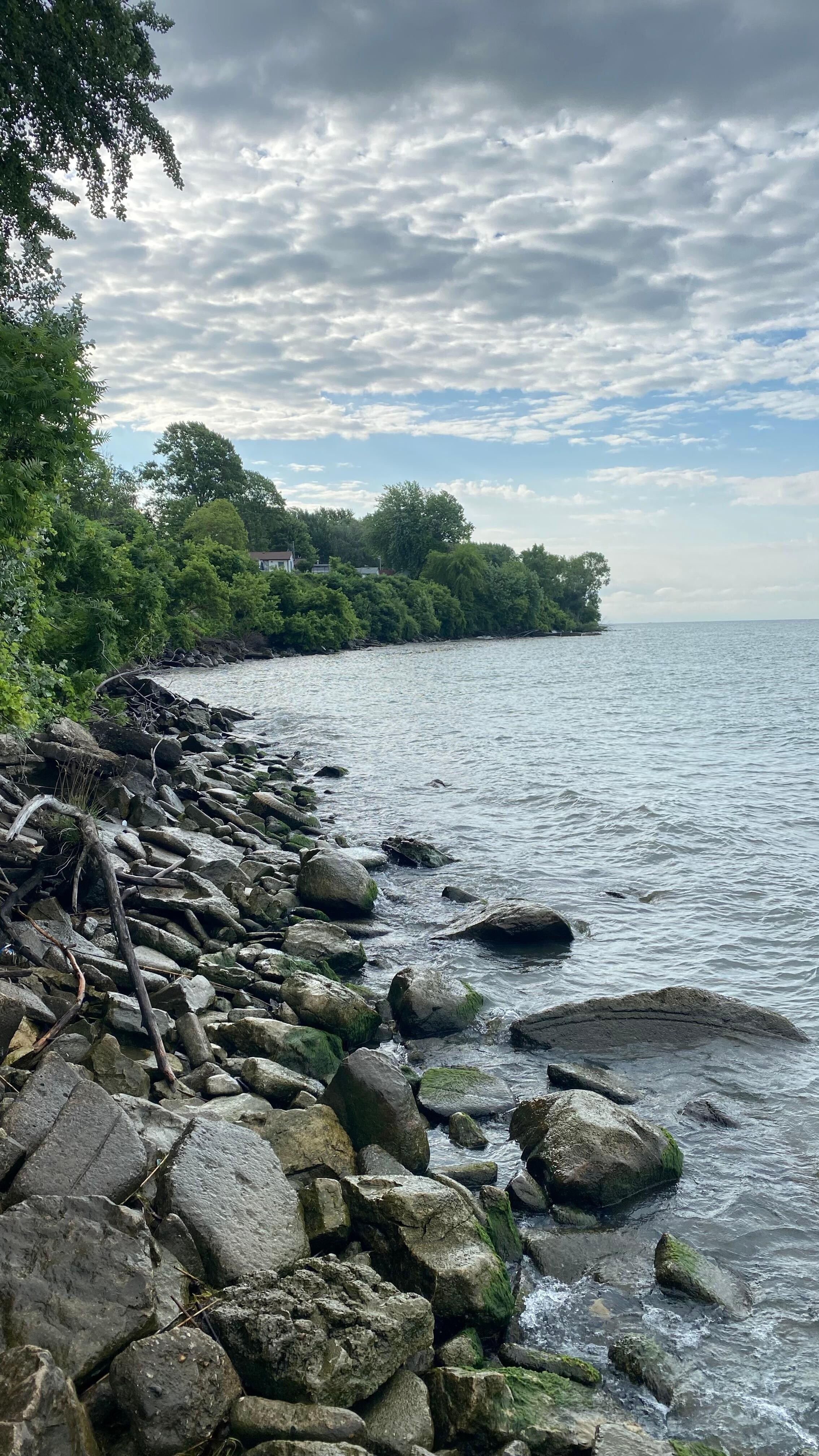 Lakefront by cottage but nice sandy beach within 5 minutes 