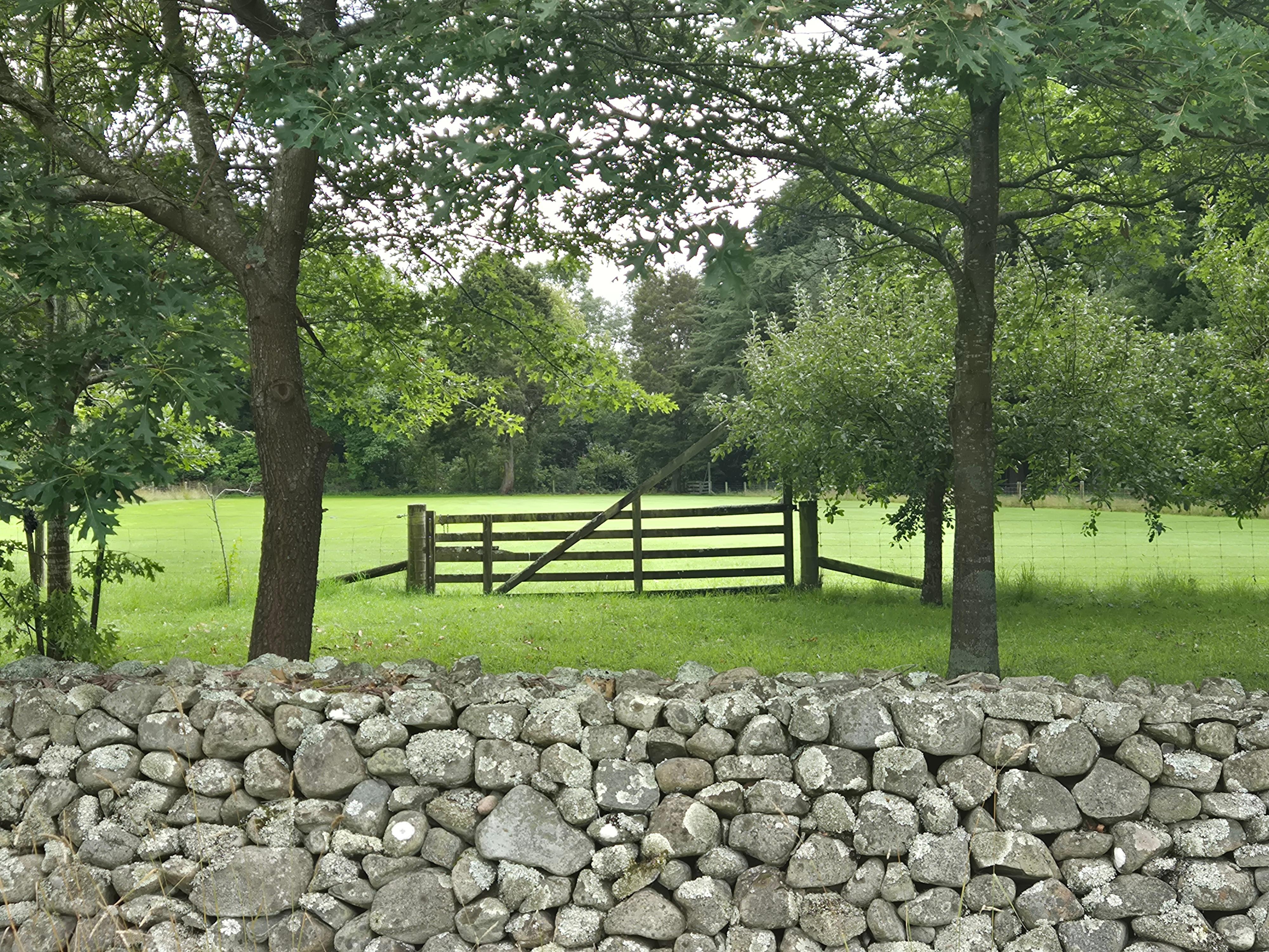 Stone wall on Woodbury Rd
