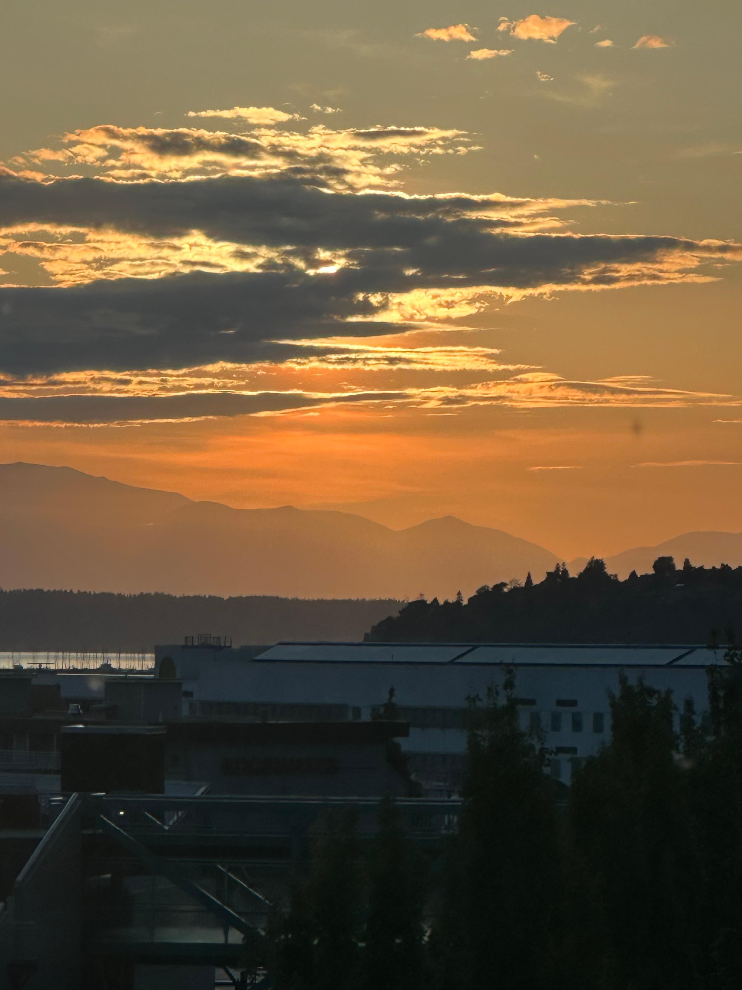 View to the west.