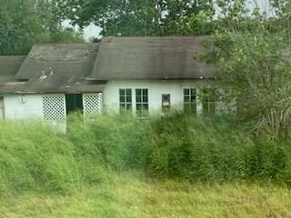 The view from my hotel window. 