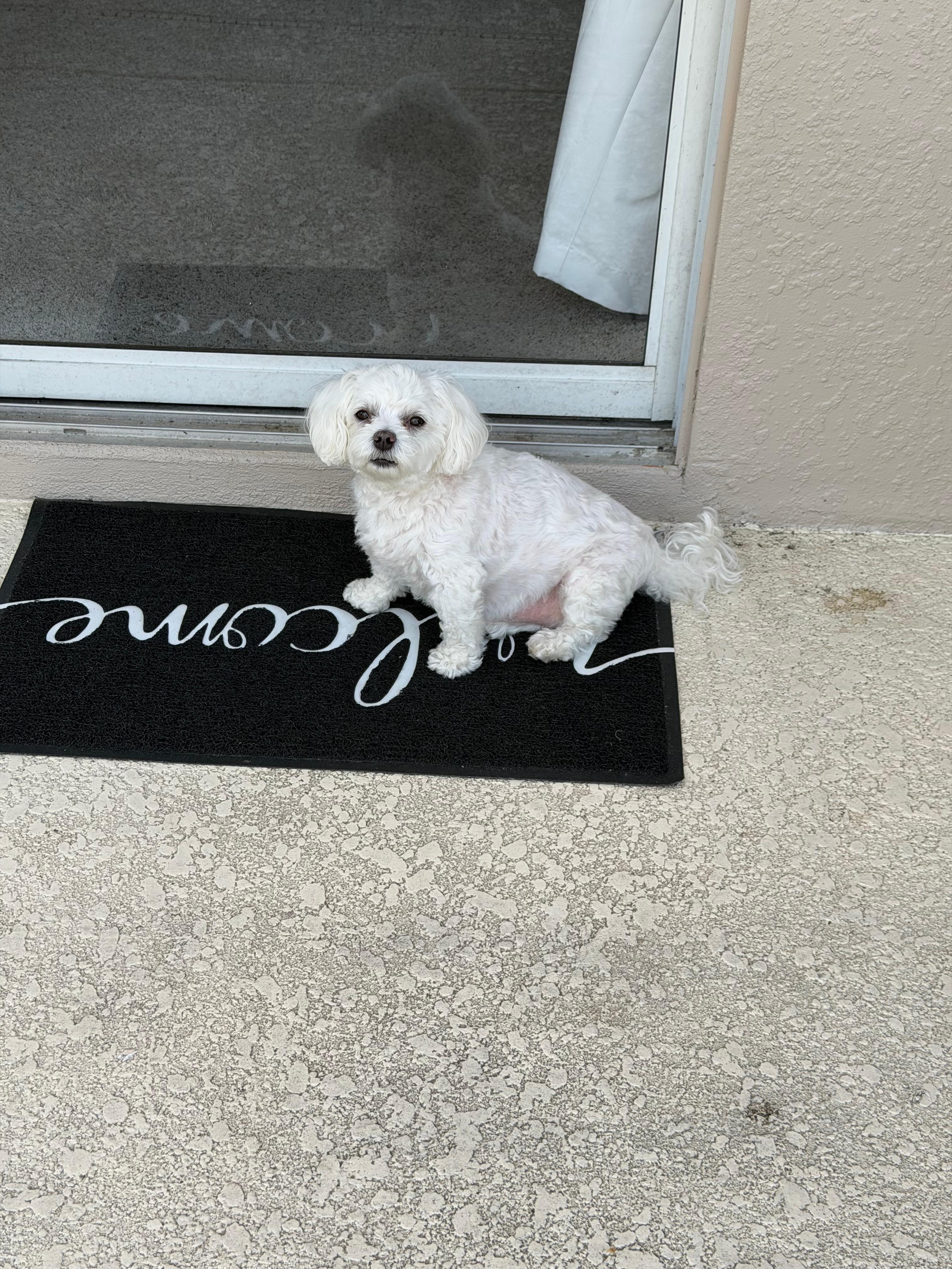 She really enjoyed the stay too!